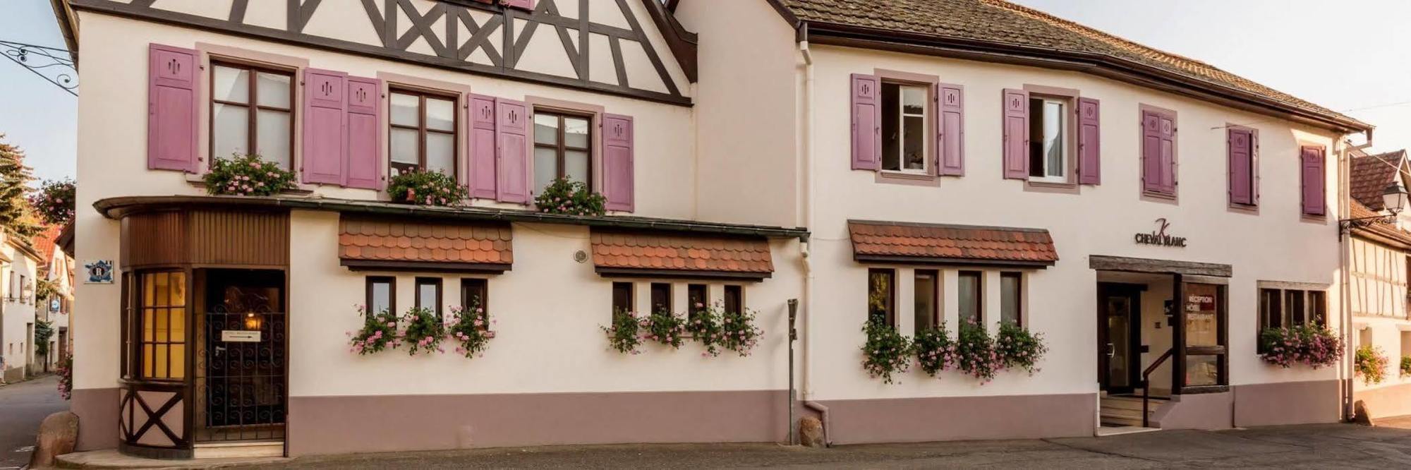 Auberge Du Cheval Blanc Depuis 1785 Westhalten ภายนอก รูปภาพ